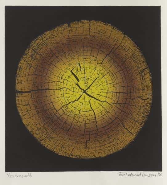 Ingen tittel av Tom Eidsvold Larsen